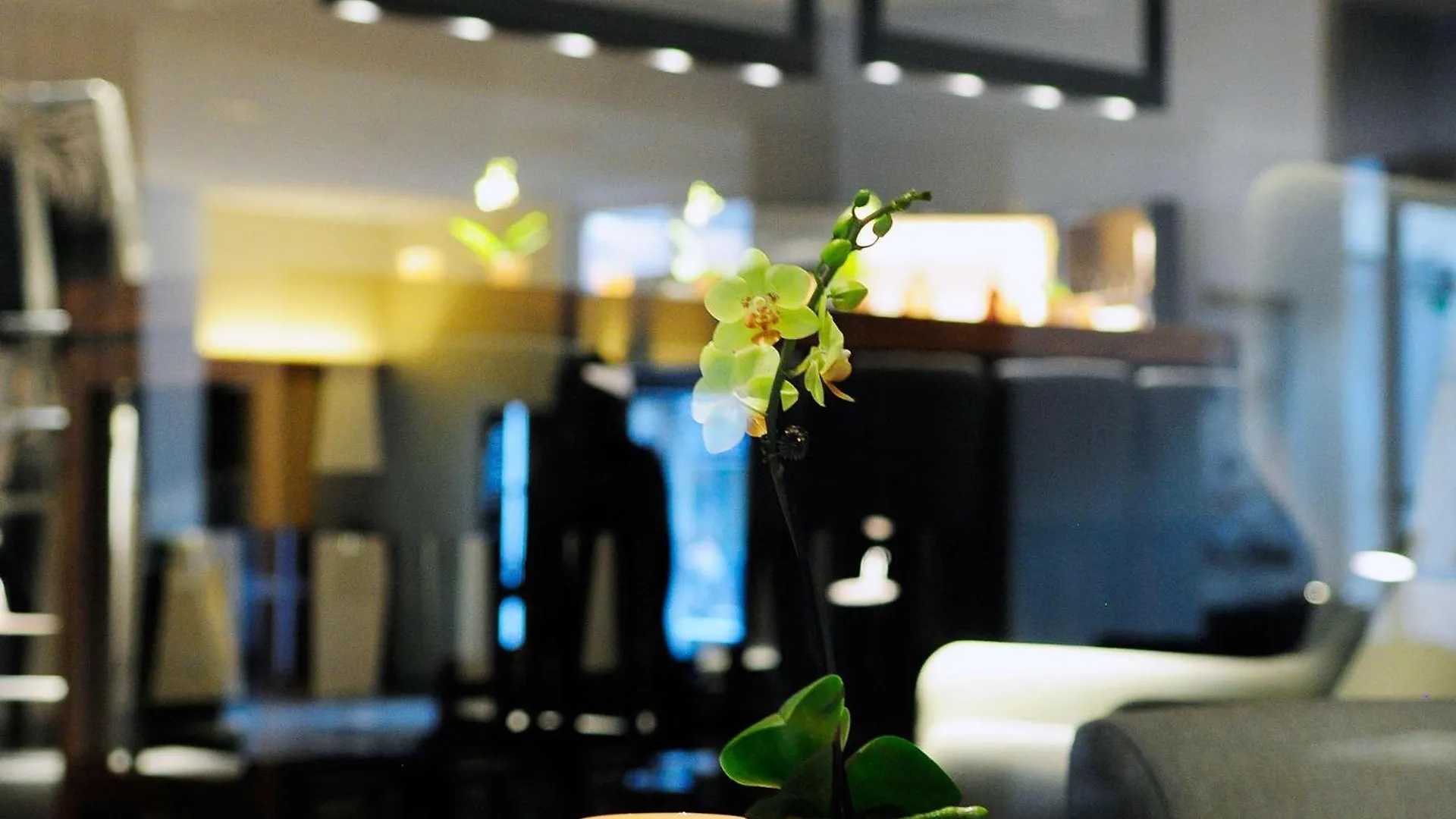 Hotel Pullman Eindhoven Cocagne